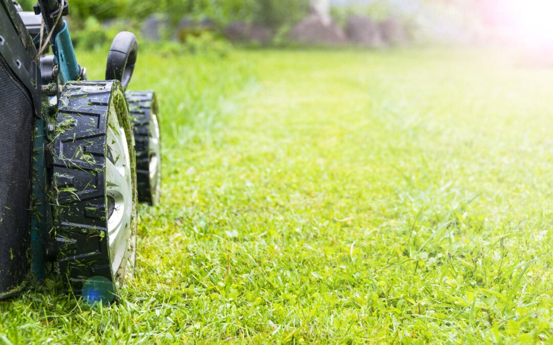 Lawn Care Company in Burke, VA