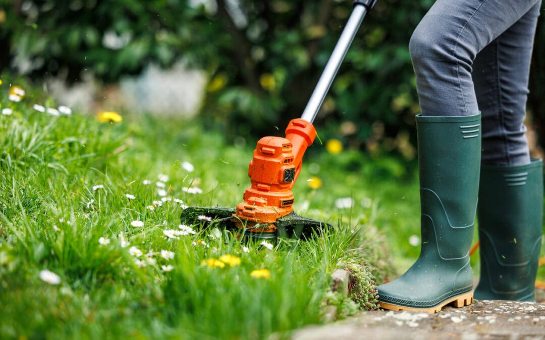 Lawn Care in Springfield, VA