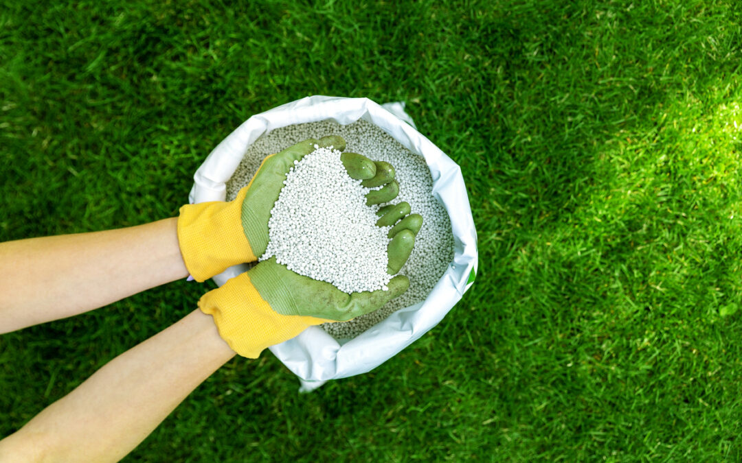 Lawn Fertilization Services by Burke Lawn Care