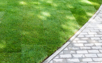 Hire an Expert Lawn Service in Fairfax, VA to Save You Time & Money